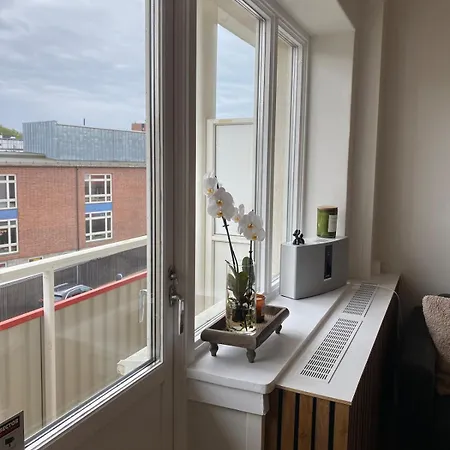 Modern Nordic & Apartamento